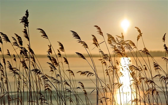 ,,,2560x1600 HD _ _ 